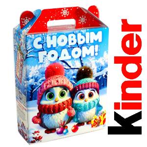 Детский подарок на Новый Год в жестяной упаковке весом 830 грамм по цене 3297 руб в Великом Устюге